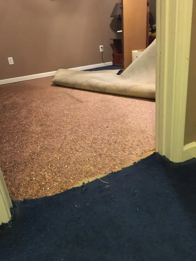 Carpet pad removal revealing water damage during Water Mitigation Services in Winslow
